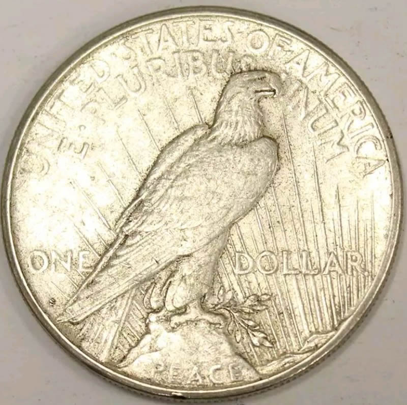 Help!!-Please-Peace-Dollar-Grading-And-Error-Identifier...